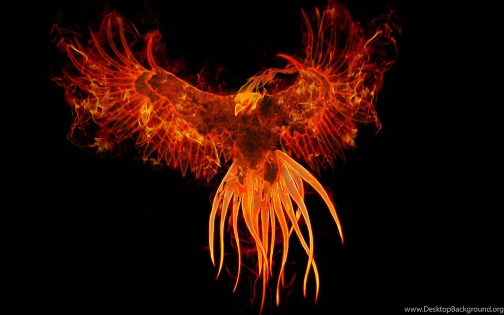 Phoenix Live Wallpapers Android Apps On Google Play