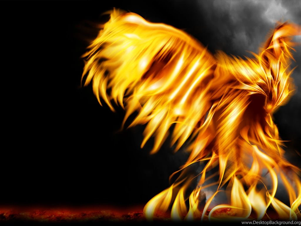 Wallpaper, Graphic, And Vector: Phoenix Wallpapers