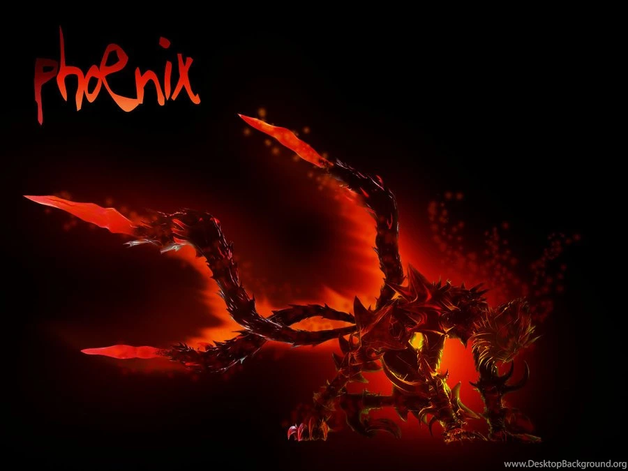 PhoeniX Wallpapers By Phoenix bih On DeviantArt