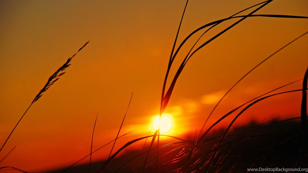 Sunset Wallpapers HD