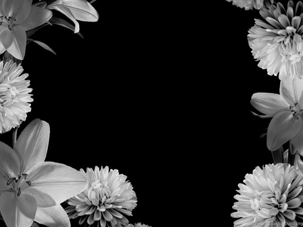 Black And White Flower Backgrounds
