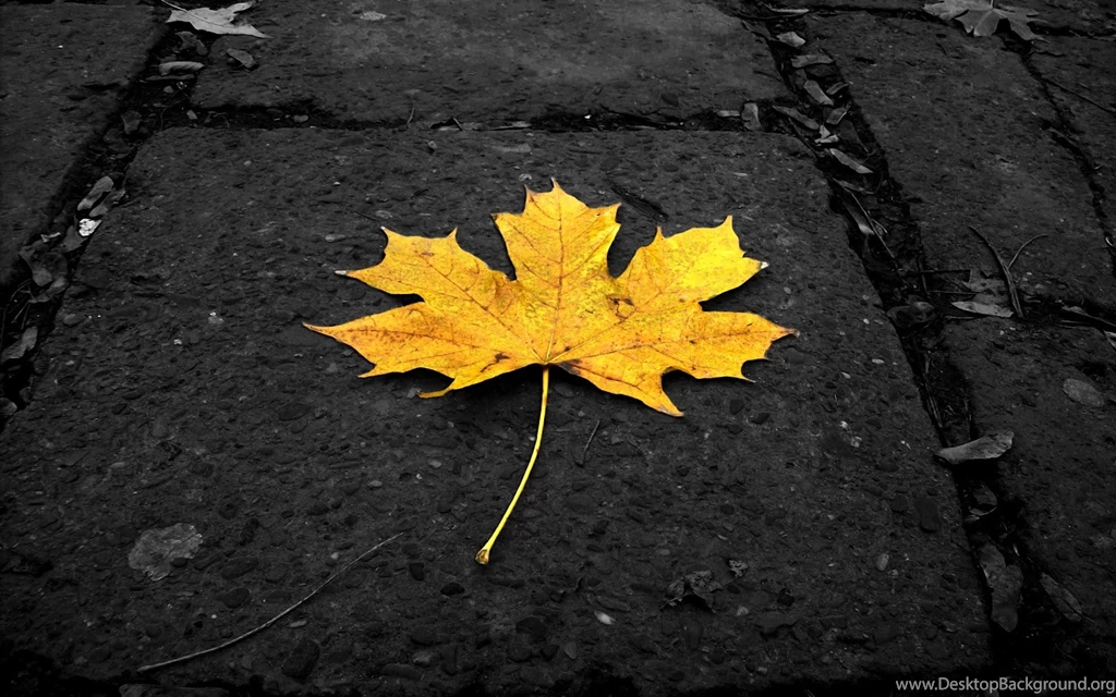 New blog pics: Hd Wallpapers 1080p 1440x900