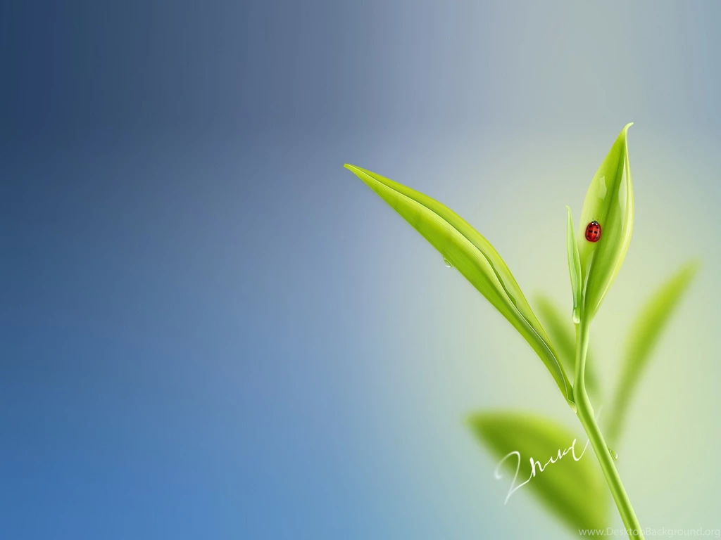 Free Wallpapers The Most Impressive For Its Simplicity And ...