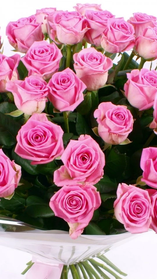 Download Wallpapers 540x960 Roses, Bouquet, Large, Clearance ...