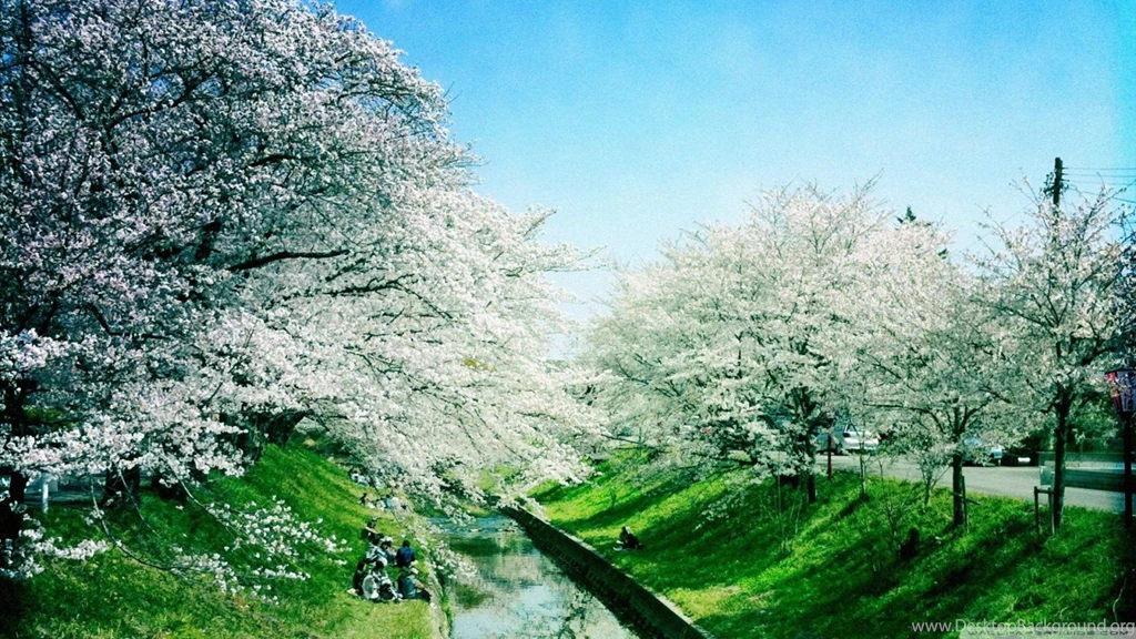 Spring (season) Wallpapers