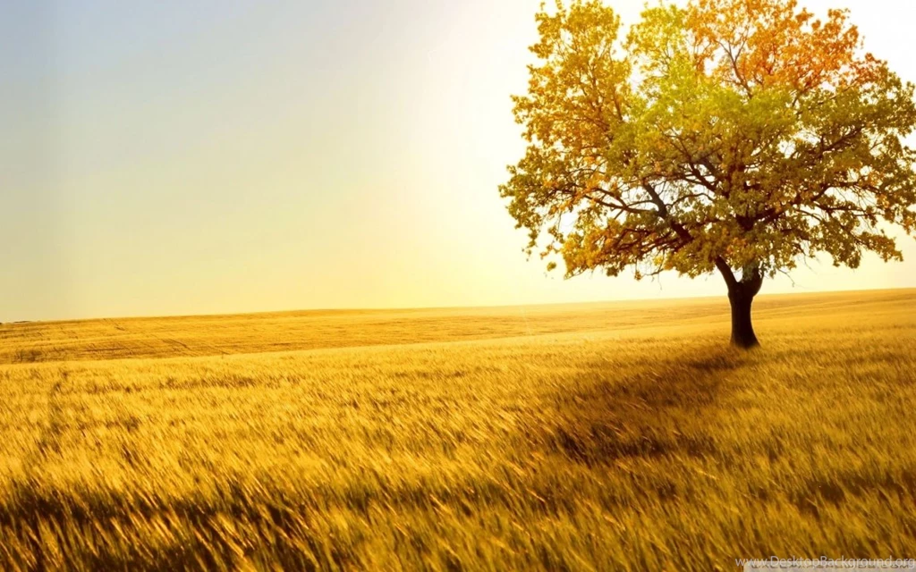 Nature Wallpapers For Desktop Backgrounds Full Screen – Valentine ...