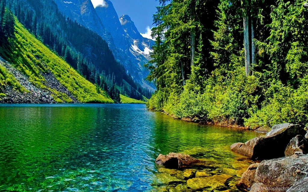 Nature Picture Collection (38+)