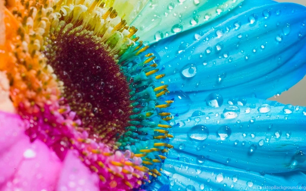 Colorful Desktop Backgrounds HD Wallpapers And Pictures