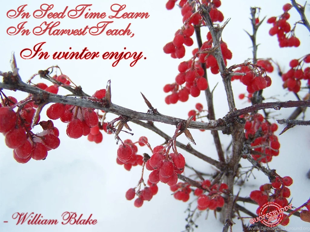 Happy Quotes About Winter. QuotesGram