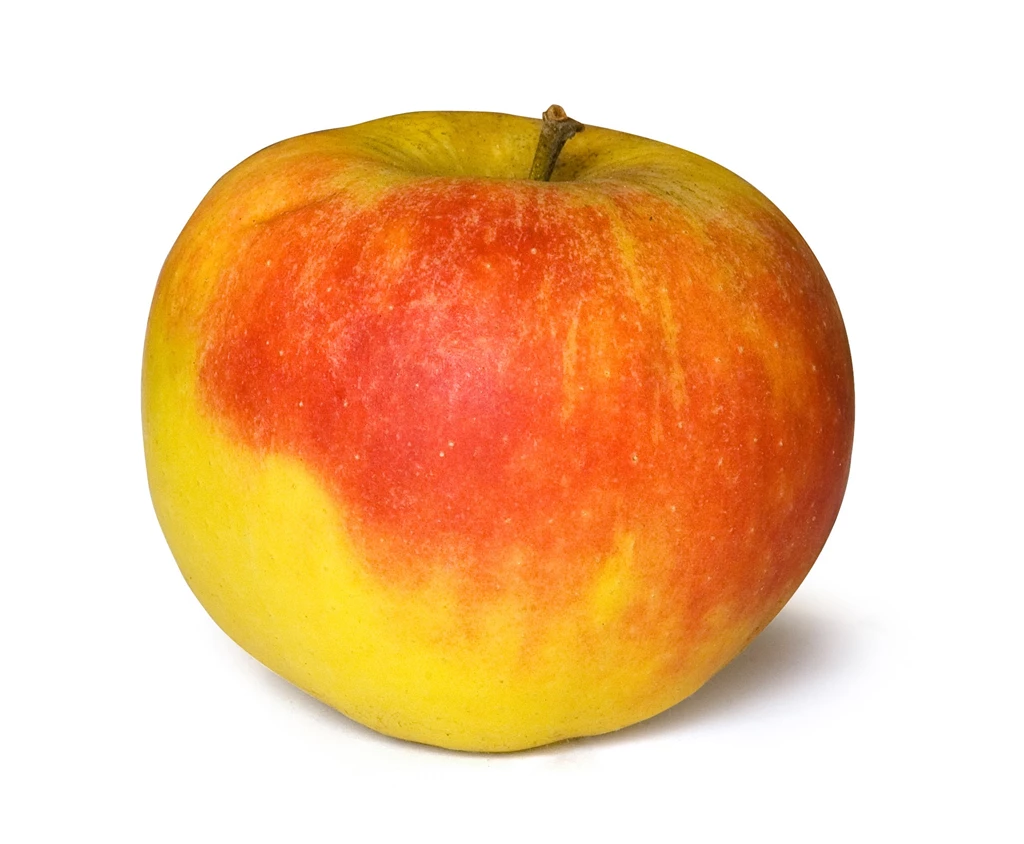 File:Apple 002.jpg   Wikimedia Commons