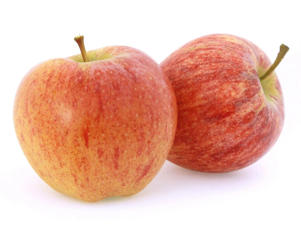 New Zealand Royal Gala Red Apple On White Backgrounds ...