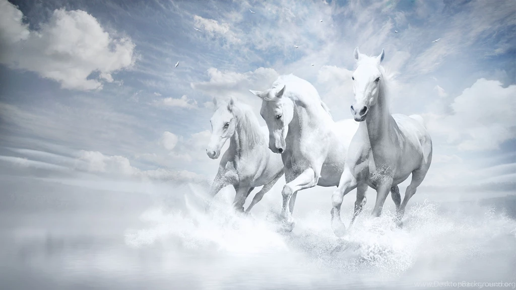 White Horses Animal Wallpapers
