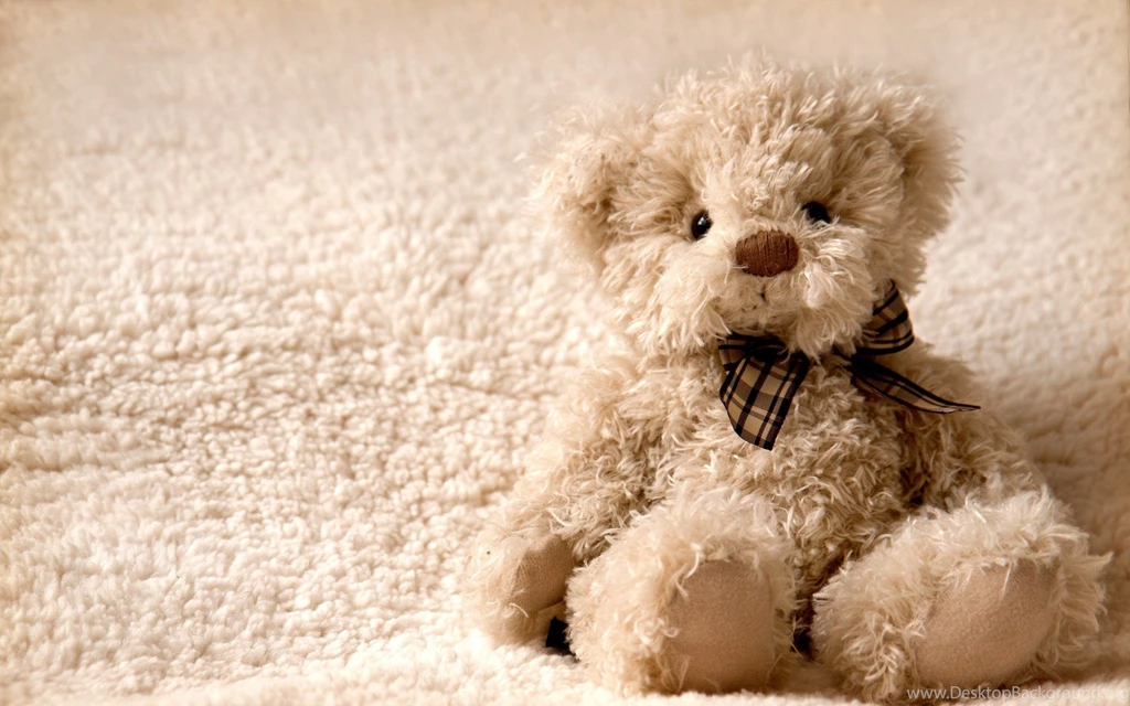 59 Stuffed Animal HD Wallpapers