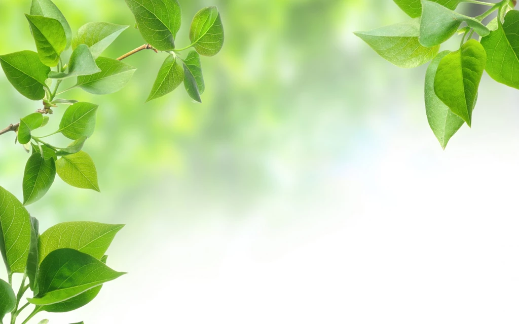 Www.hdwallpapery.com Backgrounds Wallpapers Page 1