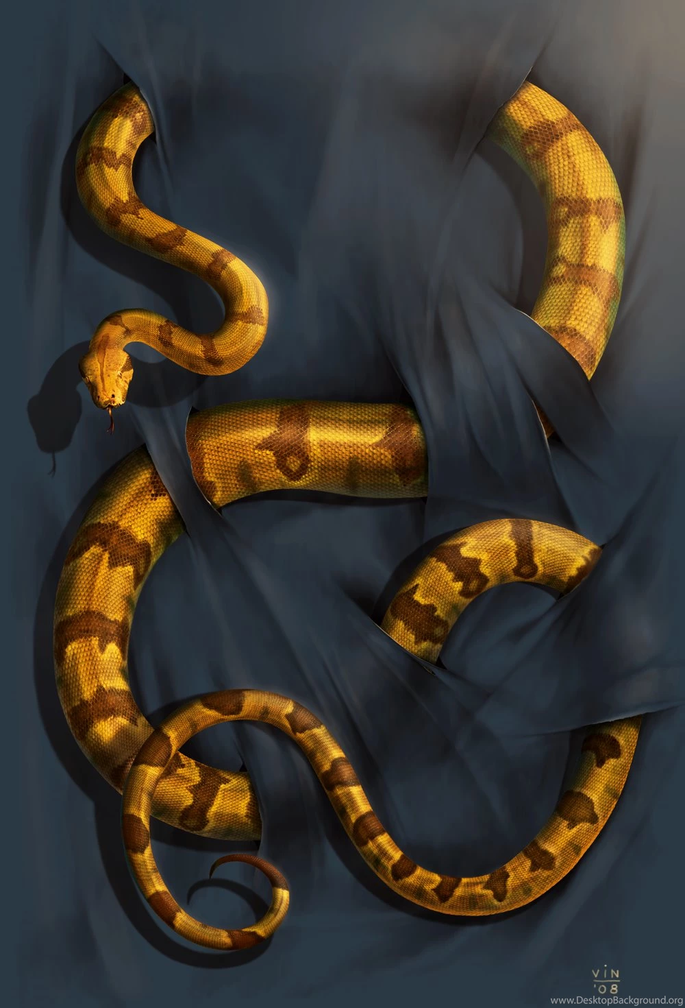 Boa Constrictor By Wallace On DeviantArt