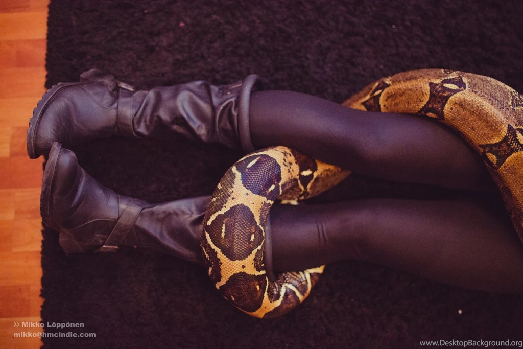 Boa Constrictor   Hugging Legs By Hmcindie On DeviantArt