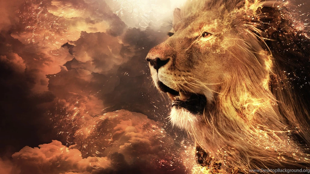 Lion Wallpapers
