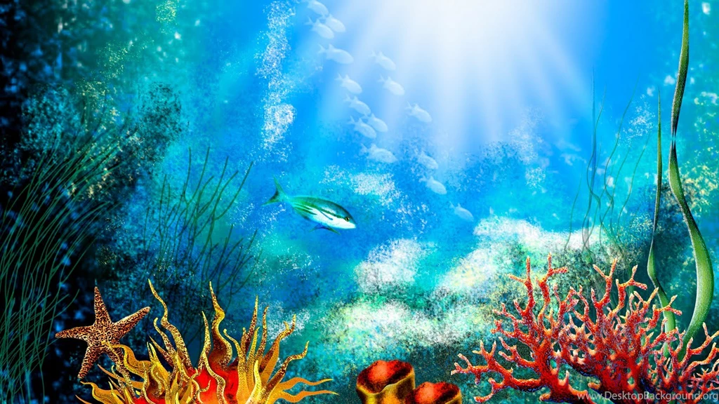 Pic New Posts: Aquarium Wallpapers 3d