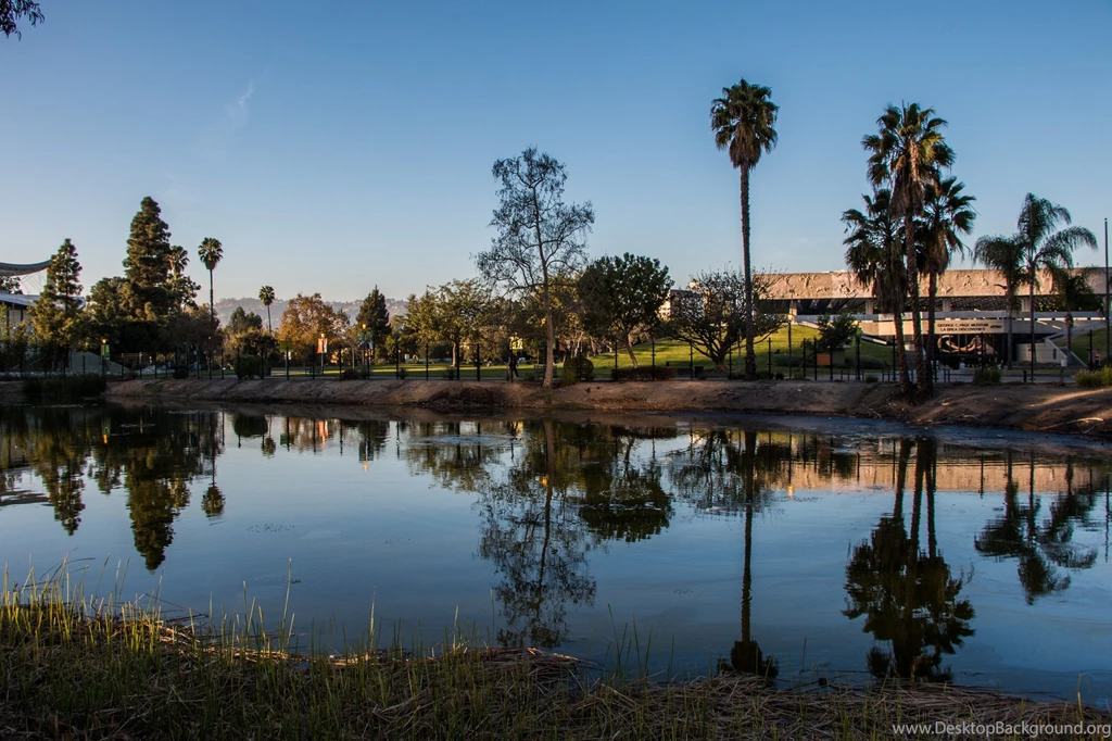 Griffith Observatory Oscars Venice beach Newport Beach Venice ...