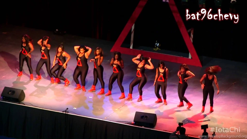 USC: Delta Sigma Theta (Iota Chi) 2013 Step Show 1080p HD YouTube