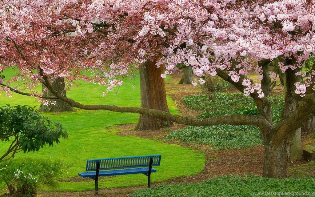 NATURE HIGH RESOLUTION WALLPAPER WALF1052