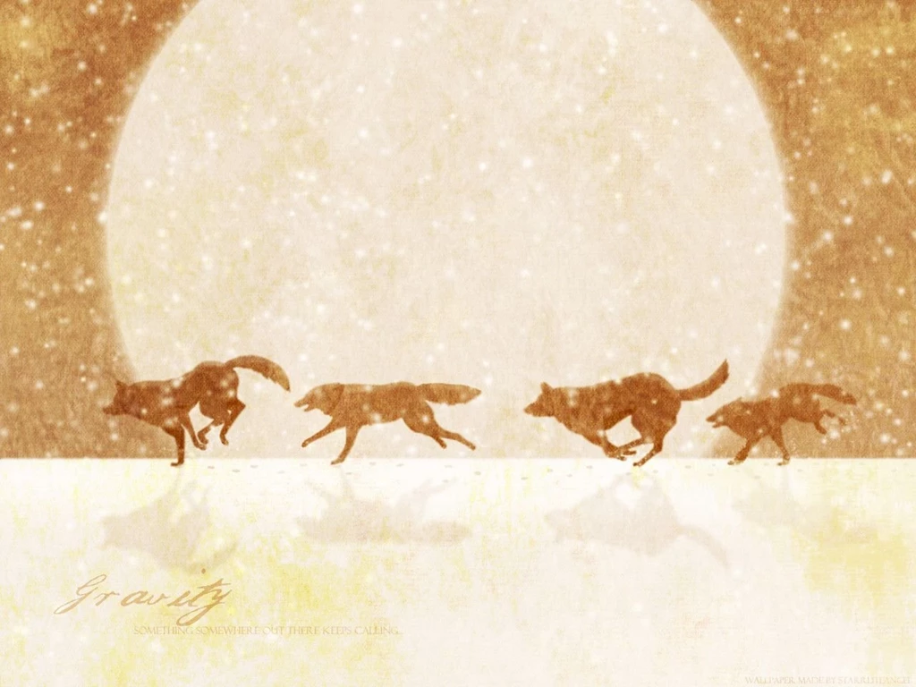 Wolfs Rain Wallpapers Wallpapers Cave