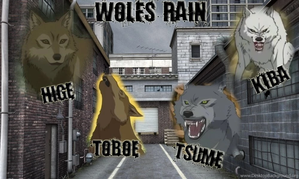 Wallpapers Wolf's Rain Photo (14179323) Fanpop