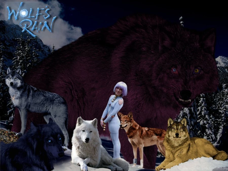 Wolfs Rain On SakuraOtakus   DeviantArt