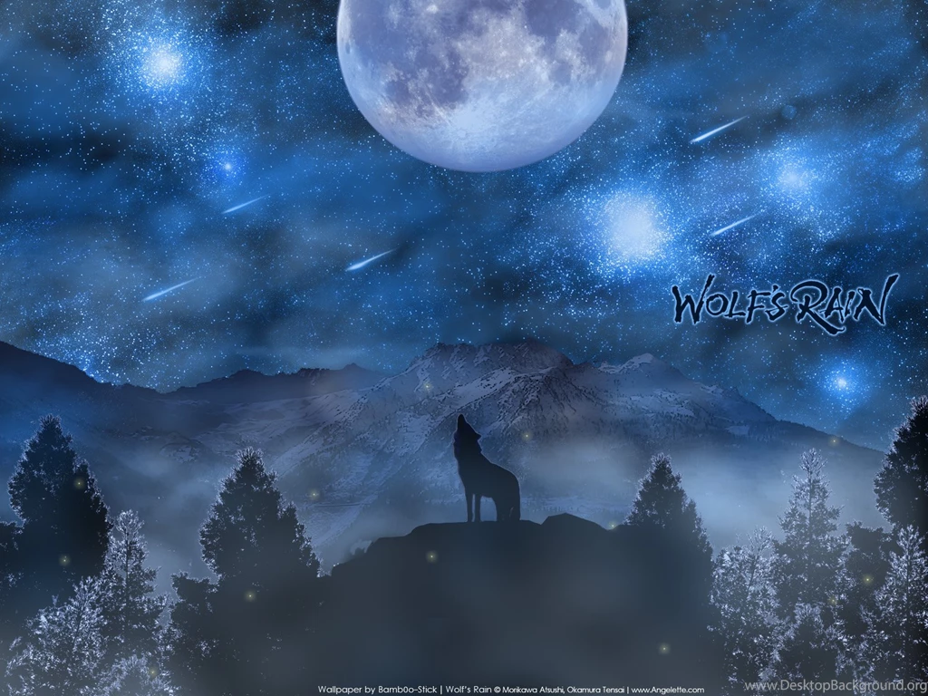 Wolfs Rain T Wallpapers