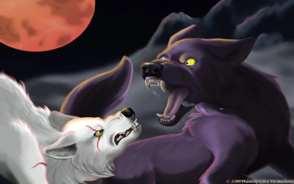 Wolf's Rain 1440x900   Wolf's Rain Wallpapers (3461308)   Fanpop