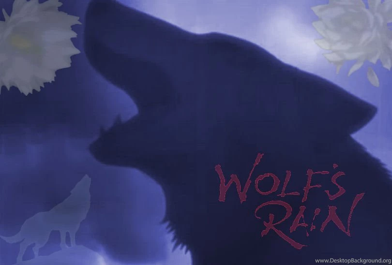 Wolf's Rain Wallpapers Wolf By Xo0brokenwings0ox On DeviantArt