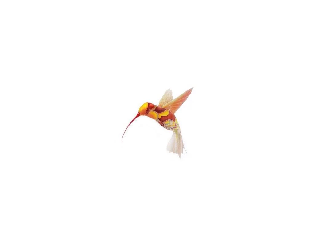 Hummingbird By James Jean Photo By Nobody95