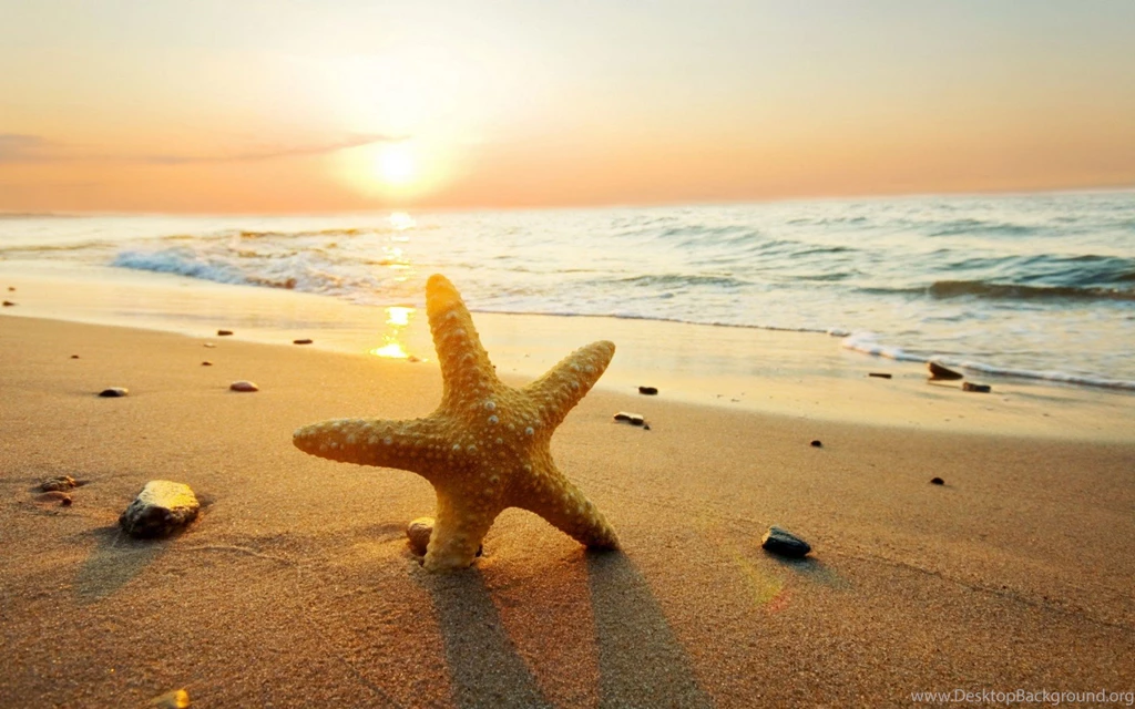 Beautiful Beach Sunset