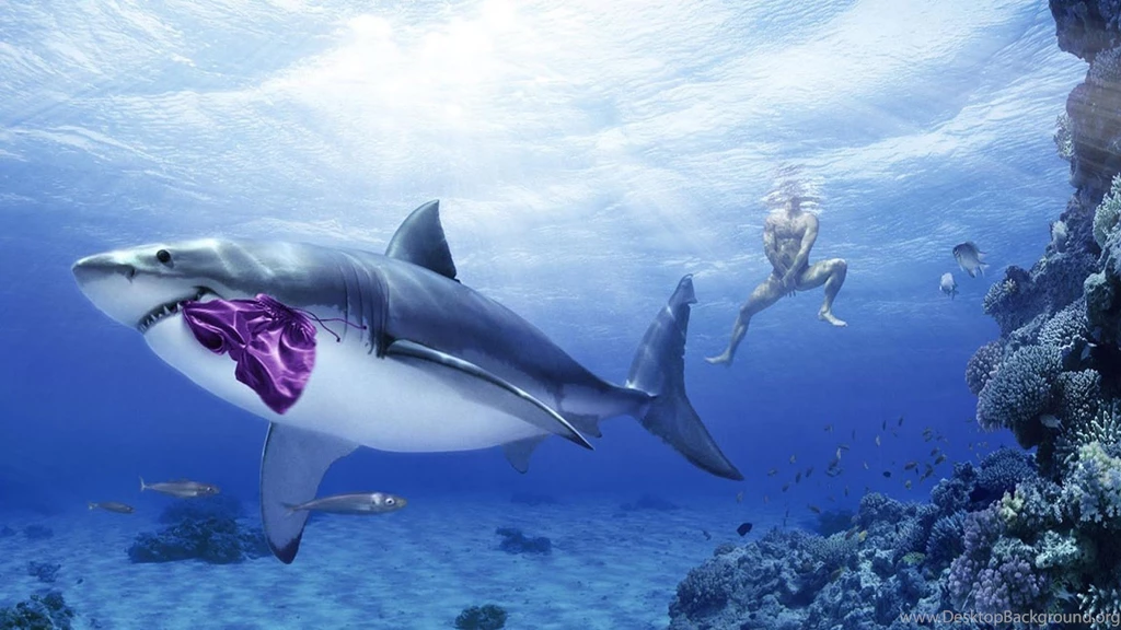 Funny Wallpapers HD Android Apps On Google Play