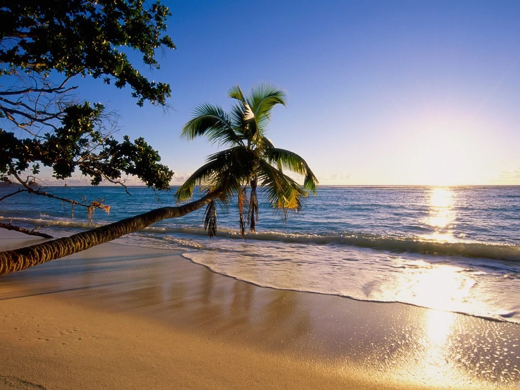 Beach Wallpapers Rakaruan.com: Beach For Android Wallpapers Wide ...