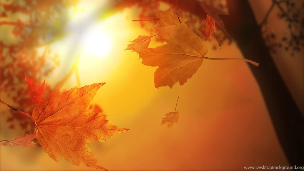 Cute Fall Desktop Wallpapers Wallpapers Zone
