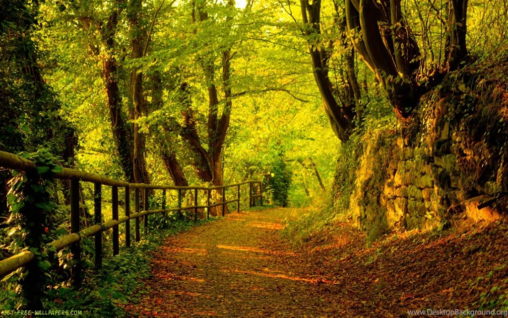 Cute Fall Wallpapers