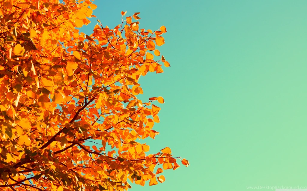 Autumn Colors Wallpapers Full HD [3840x2400]   Free Wallpapers Full ...