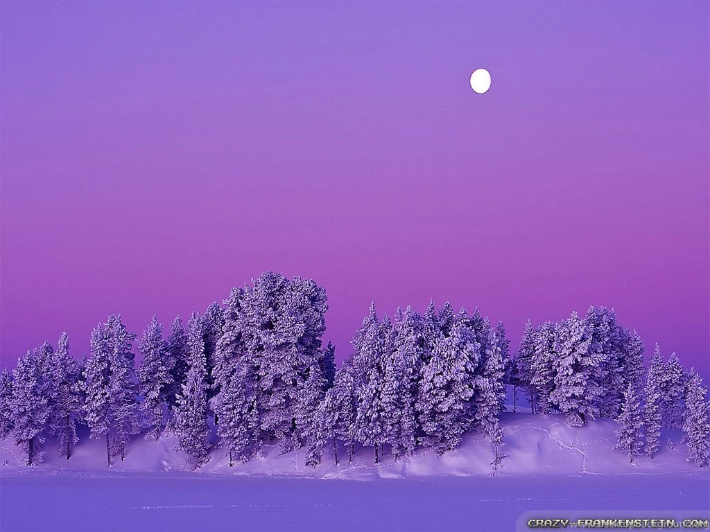 Christmas Winter Scenes Wallpapers Free