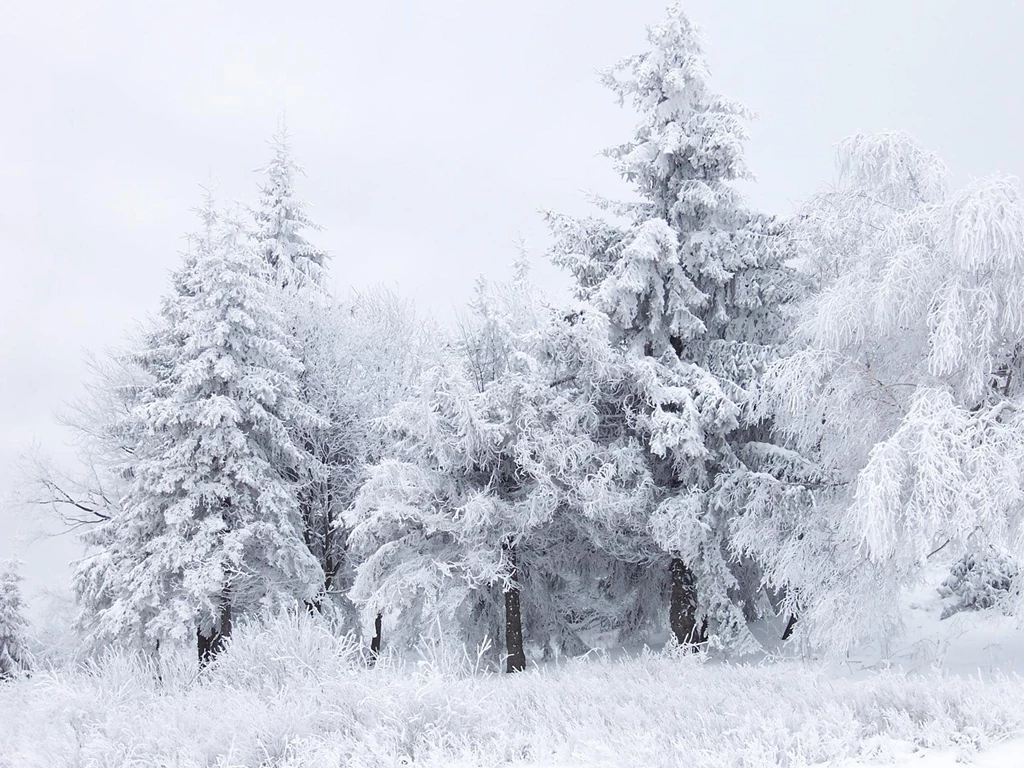 Christmas Desktop Wallpapers Free
