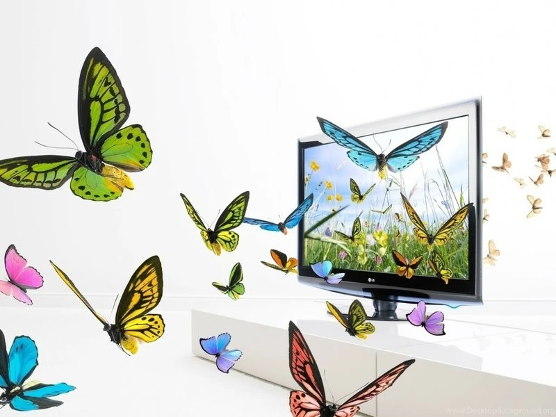 Butterfly,digital Art Butterfly Digital Art Screen 1024x768 ...