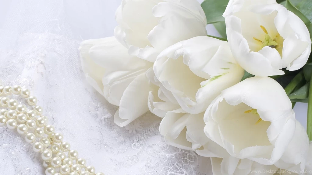 Flowers Wallpapers