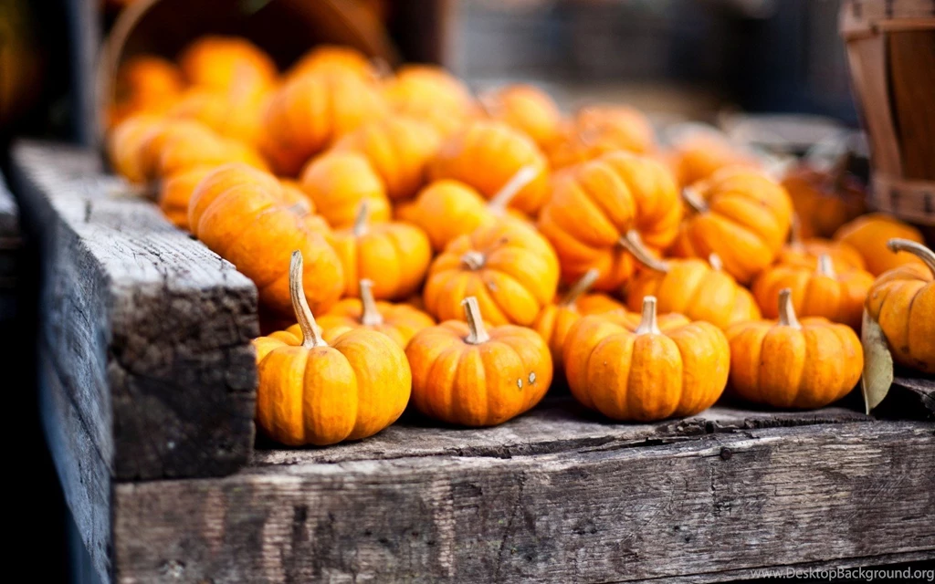 Fall Leaves And Pumpkin Wallpapers