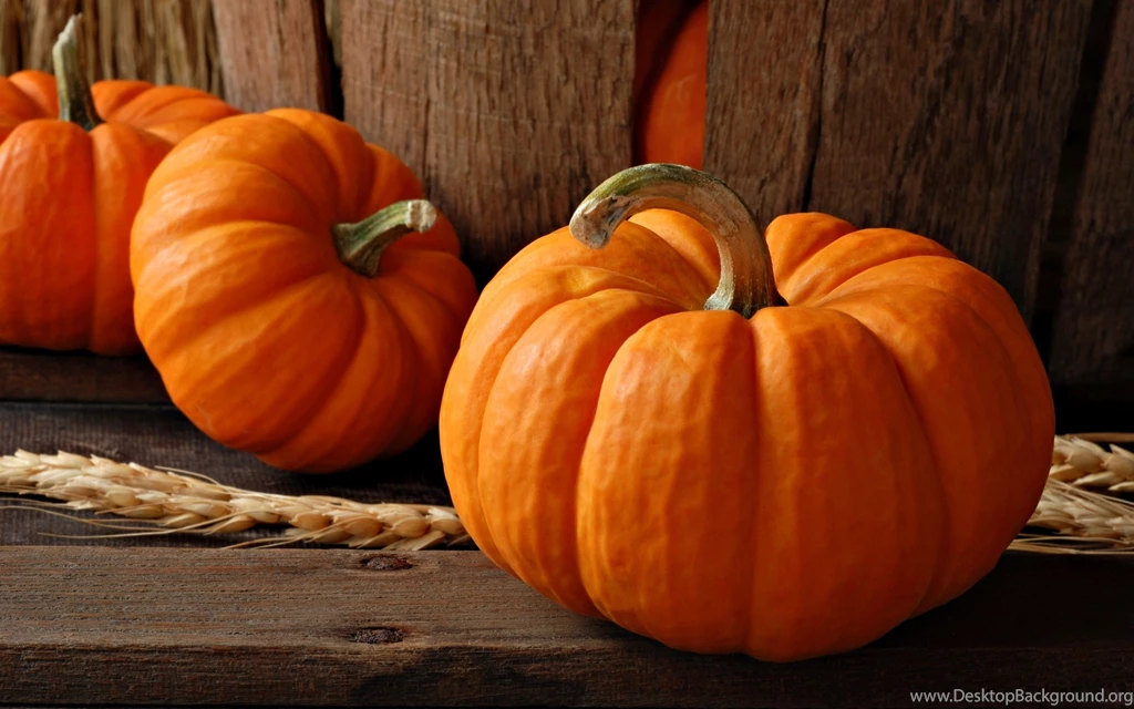 Fall Pumpkin Wallpapers Hd