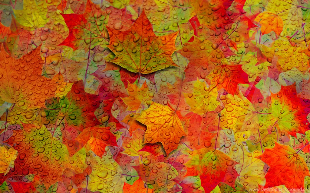 Fall Leaves Wallpaper Backgrounds