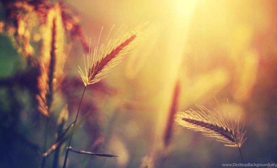 Inspiring Backgrounds Pictures Wallpapers Zone