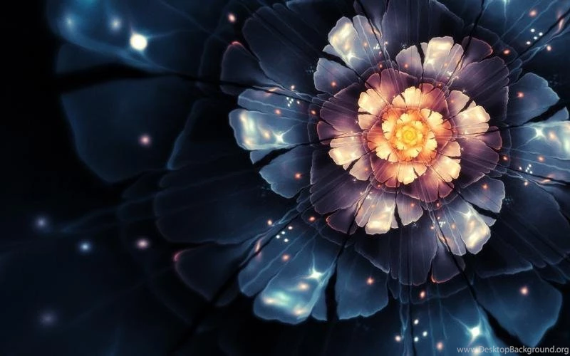 Magic Flower Wallpaper,Magic Flower HD Wallpaper,wallpapers HD ...