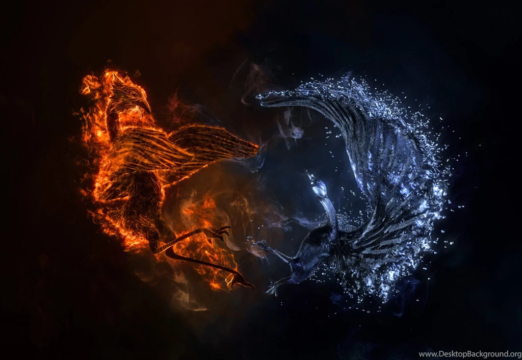 Wallpapers Magical Animals Fantasy Image