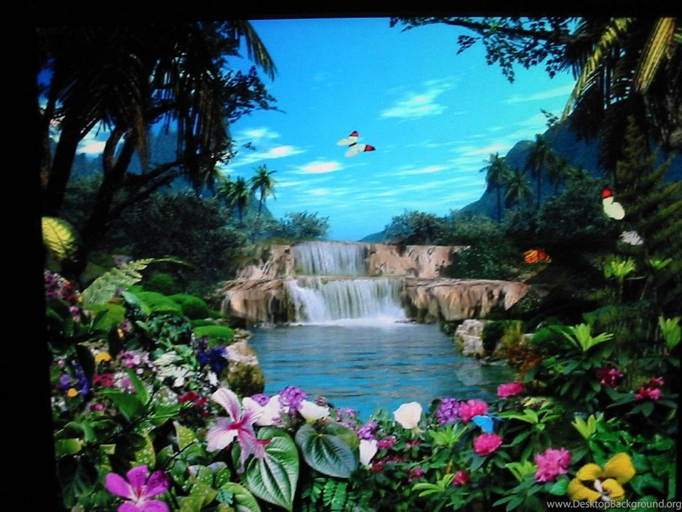 Magical Backgrounds Wallpapers Zone