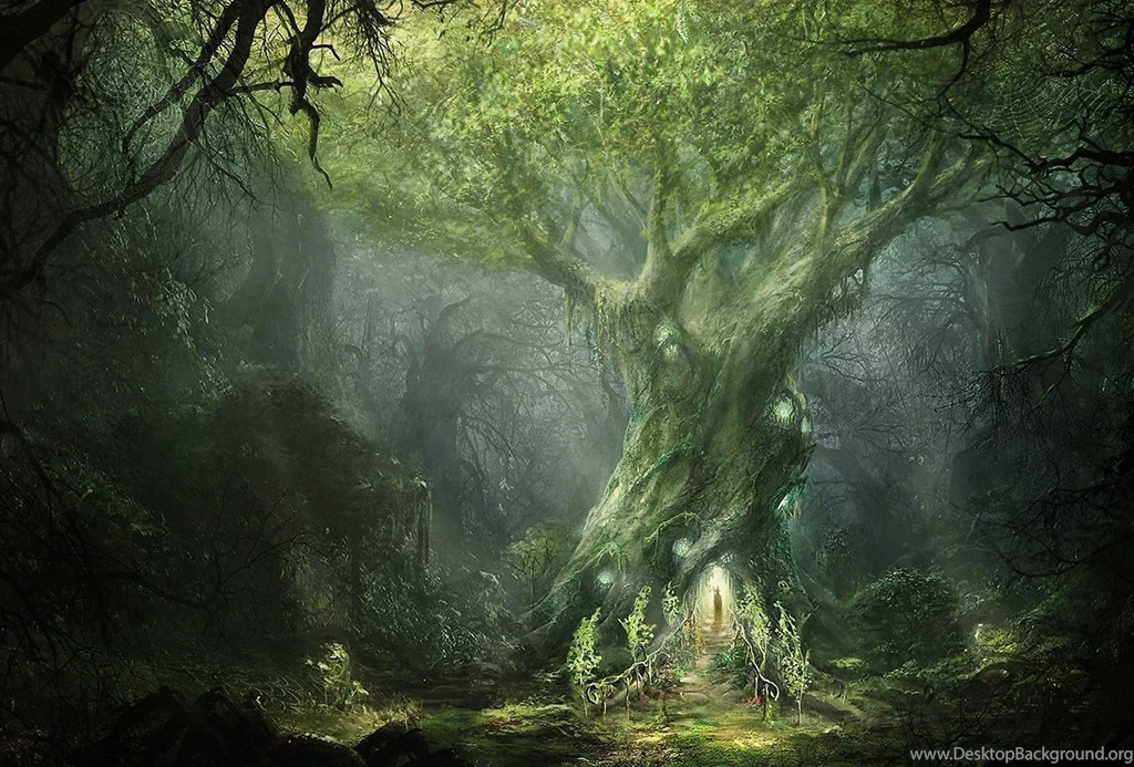 Magical Trees Live Wallpapers   Android Apps And Tests   AndroidPIT